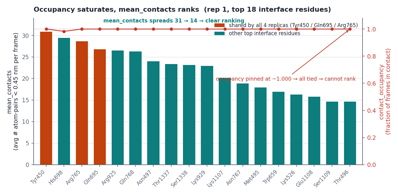 前 18 個介面殘基的 occupancy vs mean_contacts：occupancy 全釘在 1.0、mean_contacts 遞減